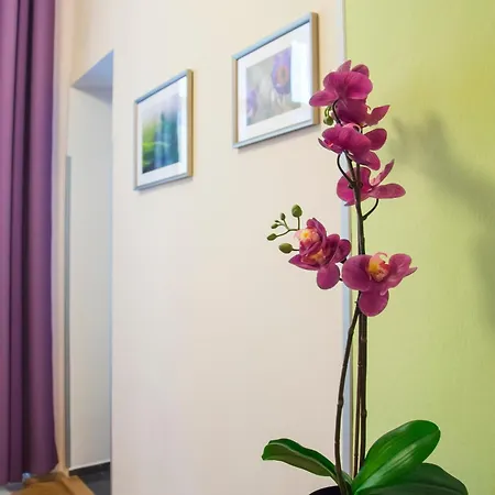 Apartment Jindrisska 25
